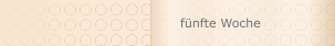 fünfte Woche