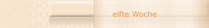 elfte Woche